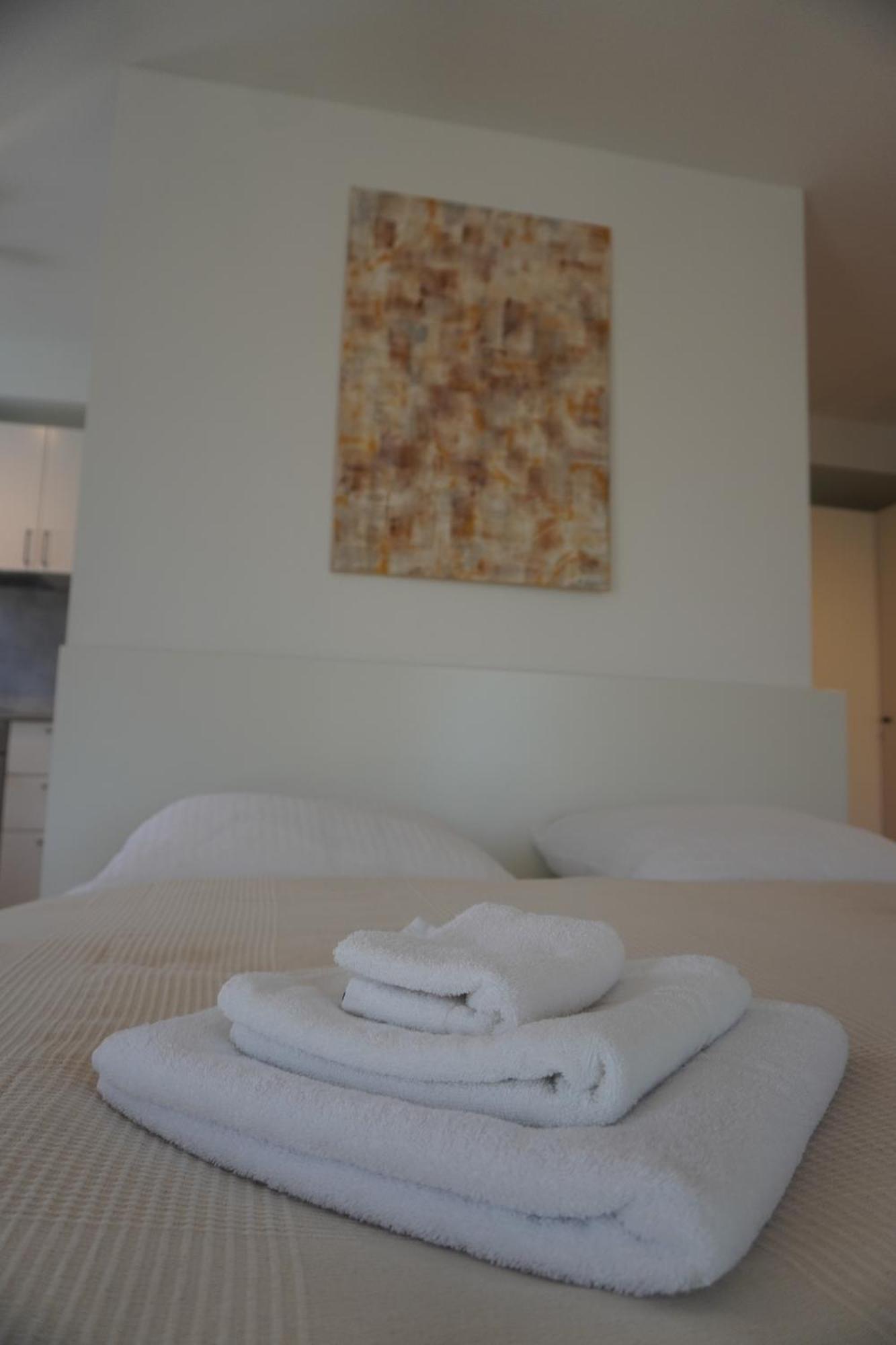 Hb-Living Apartment-Rheinblick ماينتس المظهر الخارجي الصورة